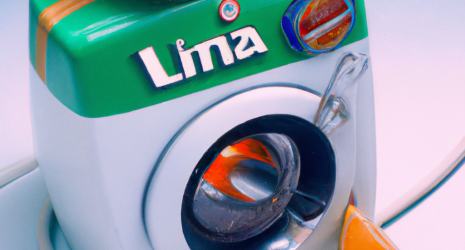61. ¿Es recomendable limpiar la lavadora con limón?