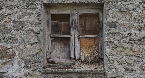 ¿Cuál es la mejor manera de limpiar ventanas en climas muy húmedos?